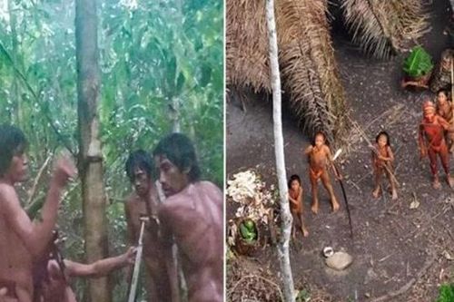 Bộ tộc người bí ẩn nằm sâu trong rừng, không mặc quần áo, biệt lập hoàn toàn với văn minh loài người