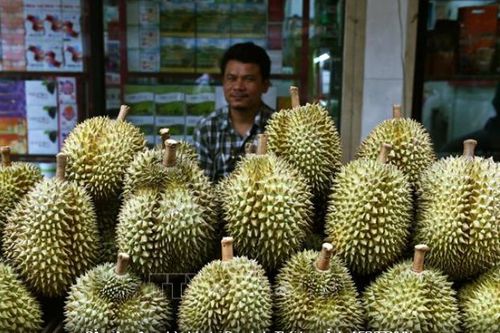Dự báo tăng trưởng nông nghiệp Thái Lan năm 2025