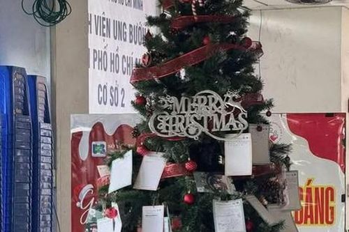 Những điều ước nguệch ngoạc của bệnh nhi Ung bướu TPHCM treo trên cây thông Noel