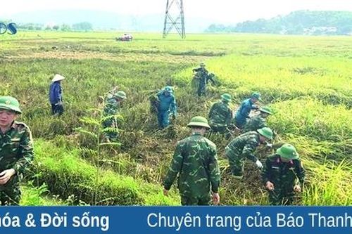 'Ðâu cần bộ đội có, đâu khó có bộ đội': Thắm đượm nghĩa tình quân dân
