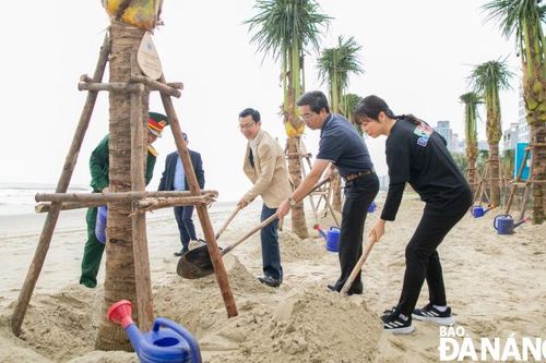 Trồng hơn 300 cây dừa tại các bãi biển du lịch