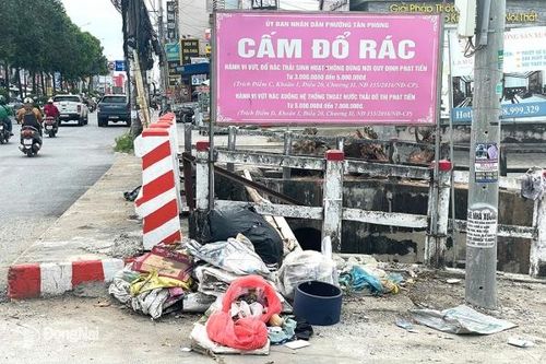 Vứt rác dưới biển cấm