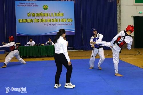 408 võ sinh tham dự kỳ thi thăng huyền đai I, II, III đẳng Taekwondo