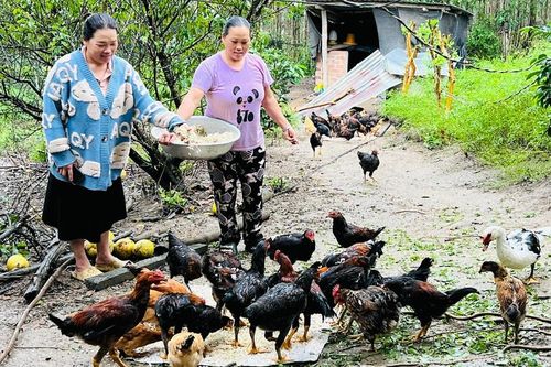 Đak Pơ hướng nghiệp và tạo việc làm cho đồng bào dân tộc thiểu số