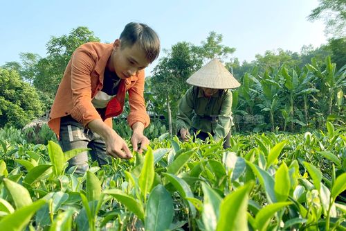 Huyện Phú Lương (Thái Nguyên) kiểm tra, đôn đốc thực hiện dự án chương trình mục tiêu quốc gia
