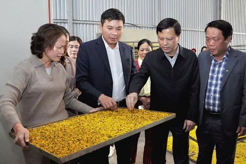 Nhiều hoạt động thiết thực bảo vệ môi trường, thúc đẩy tăng trưởng xanh tại Hưng Yên