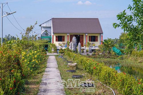 Nhà vườn sáng tác của Họa sĩ Dư Minh Chiến