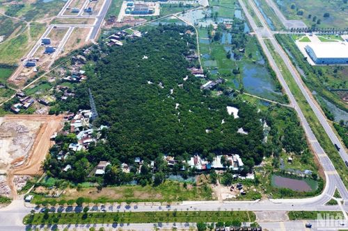 Rừng Trung Sơn – lõi xanh giữa lòng đô thị Đà Nẵng