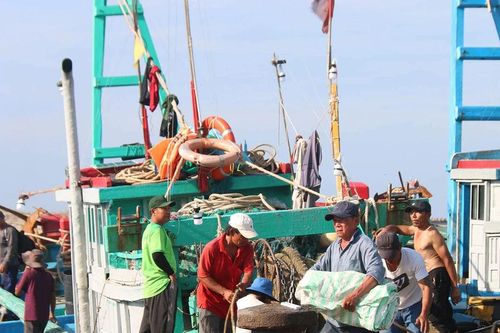 Ngư dân Nam Trung bộ hối hả vươn khơi vụ tết