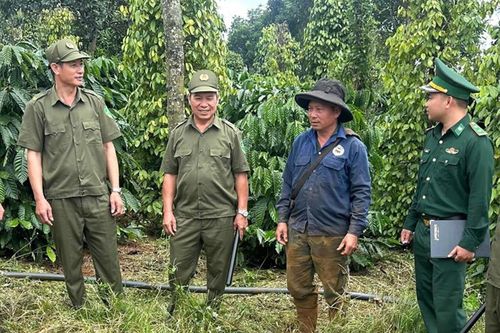 Những mô hình bảo vệ an toàn vụ mùa cho nông dân Tây Nguyên