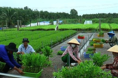 'Thạc sĩ rừng' đầu tiên dưới tán rừng U Minh