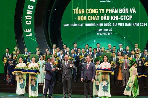 Động lực mới của PVFCCo