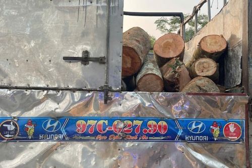 Cảnh sát giao thông phát hiện xe vận chuyển lâm sản trái phép