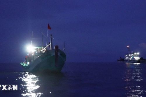 Bình Định: Một ngư dân rơi xuống biển mất tích khi đang khai thác hải sản