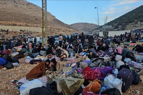 Ai Cập thảo luận với Nga và các nước khu vực về tình hình Syria
