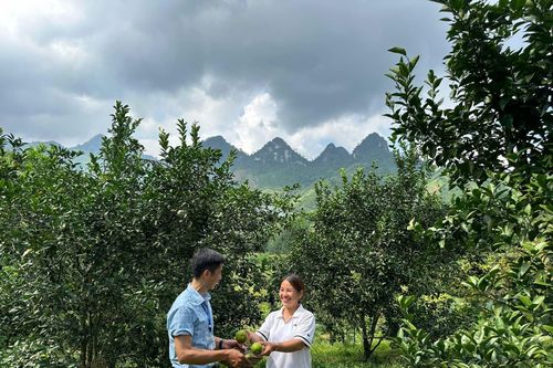 Thái Nguyên: Huyện Võ Nhai gắn đào tạo nghề với công tác giảm nghèo