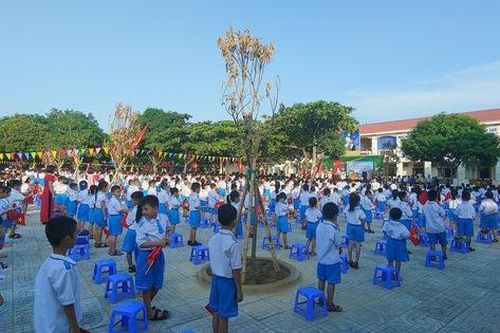 Lý do không ngờ gây mất cân bằng giới tính khi sinh ở Việt Nam