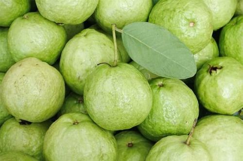 Mua ổi nên chọn quả sần sùi hay trơn nhẵn? Thêm một điểm này đảm bảo ổi ngon ngọt, không bị chát