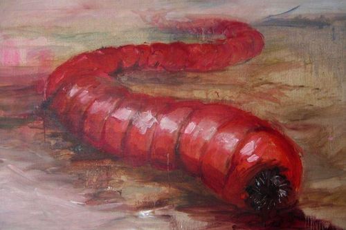 Bí ẩn về giun tử thần Mông Cổ có gai, nọc độc và gây sốc điện