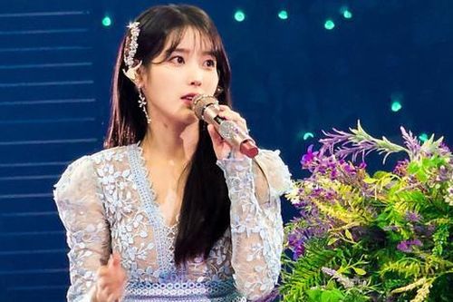 IU từ chối lời mời hợp tác từ các nghệ sĩ quốc tế