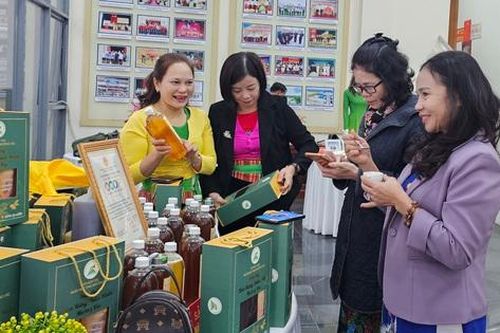Phú Thọ: Nâng cao nhận thức của phụ nữ về khởi nghiệp đổi mới sáng tạo