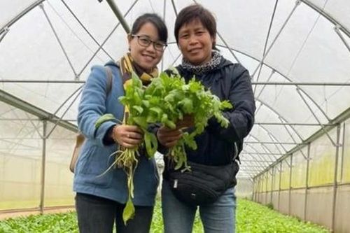 Thành tỷ phú nhờ tiên phong trồng rau hữu cơ