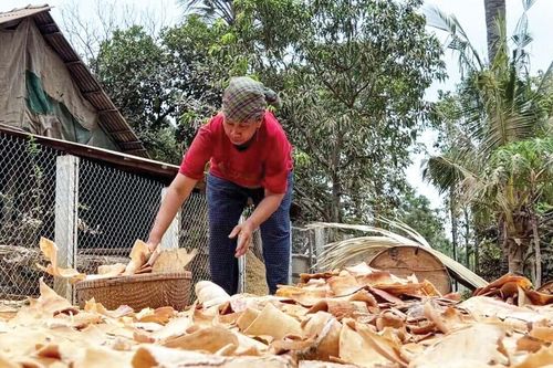 Mẻ bánh một đời cây