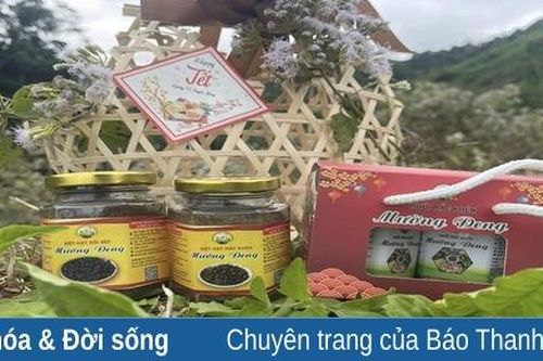 Hạt 'vàng' vùng cao