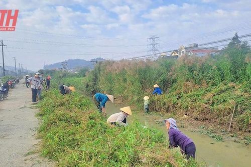 Chủ động phục vụ nước tưới sản xuất vụ chiêm xuân năm 2025