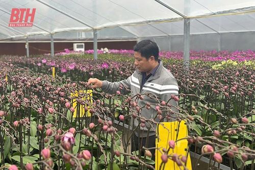 Phát huy vai trò nêu gương của cán bộ, đảng viên ở huyện Thường Xuân