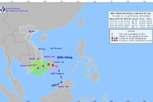 Áp thấp nhiệt đới đã mạnh lên thành bão số 10 năm 2024