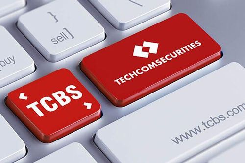 25 cá nhân mua 119 triệu cp chào bán riêng lẻ của TCBS với giá 11.585 đồng/cp