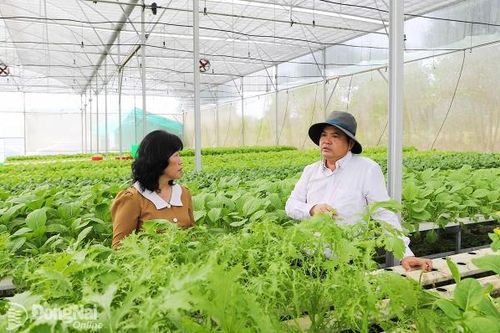 Liên kết nông dân cùng khởi nghiệp