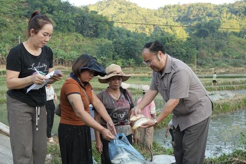 Mô hình mới giúp nông dân thay đổi phương thức canh tác truyền thống