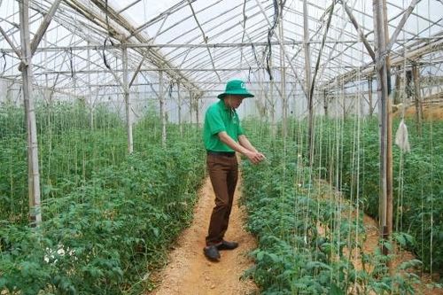 Để giảm thiểu các yếu tố đầu vào trong sản xuất nông nghiệp