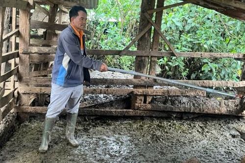 K'Phàng, người cán bộ thú y năng động