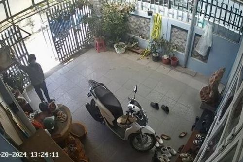 Đà Lạt: Cảnh báo nạn trộm chim cảnh