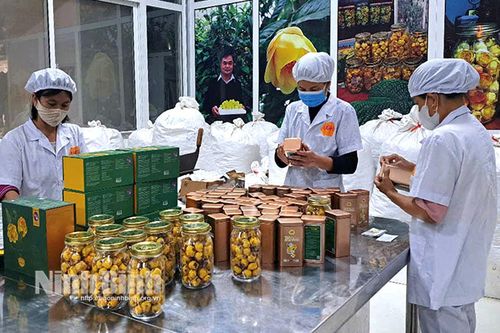 Các cơ sở sản xuất chuẩn bị hàng hóa phục vụ thị trường Tết