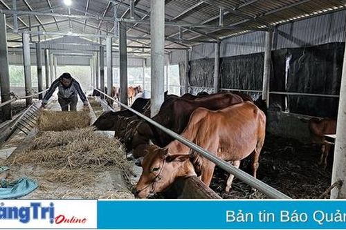Tăng cường bảo vệ an toàn đàn vật nuôi trong giá rét