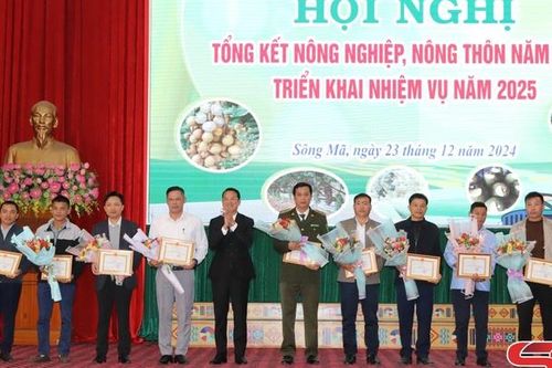 Triển khai nhiệm vụ phát triển nông nghiệp, nông thôn năm 2025