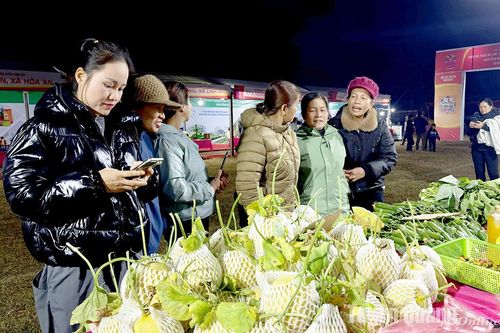 Phiên chợ đón Tết sớm ở Kim Bình