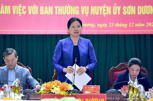 Sơn Dương cần nỗ lực hơn nữa để trở thành huyện đạt chuẩn nông thôn mới