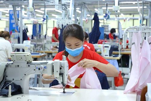 Dệt may Hòa Thọ (HTG) báo lãi cao nhất lịch sử hoạt động, cổ phiếu 'lên đỉnh'