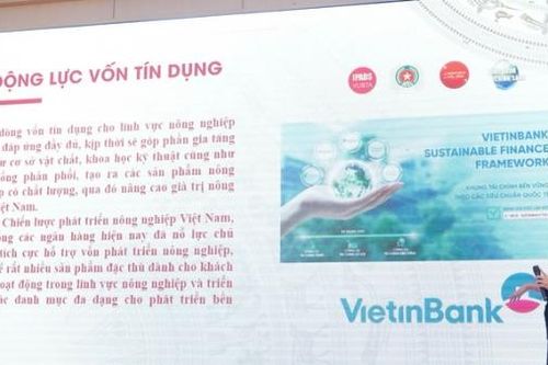 Cần chính sách thu hút doanh nghiệp đầu tư vào nông nghiệp