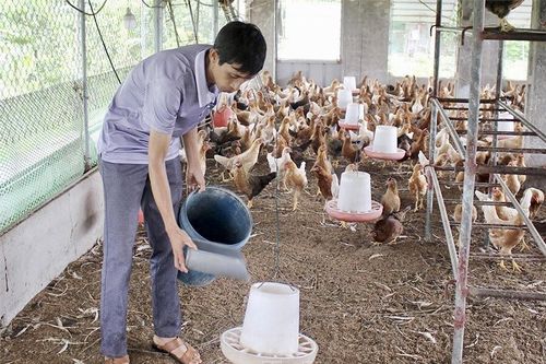 Hội Nông dân - Trụ cột thực hiện Chỉ thị số 40-CT/TW trong phát triển kinh tế nông thôn và nâng cao đời sống hội viên (Kỳ 2)