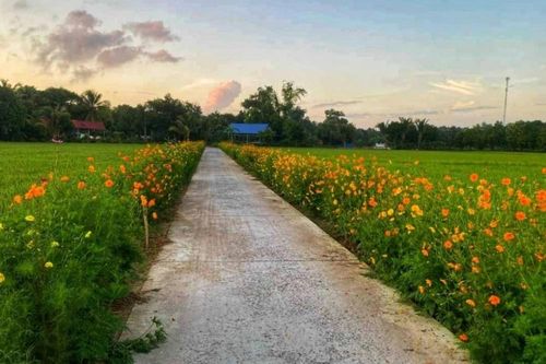 Tín dụng chính sách ở cù lao - quê hương Chủ tịch Tôn Đức Thắng (Bài 1)