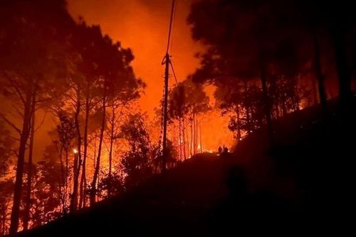 Cháy rừng dữ dội ở Quảng Ninh, 300 người khẩn trương dập lửa