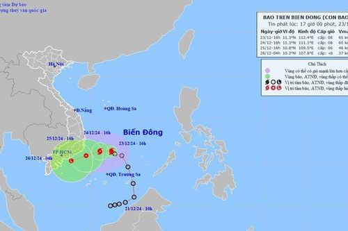 Chuyên gia khí tượng 'phân tích' bão số 10 đi hướng nào?
