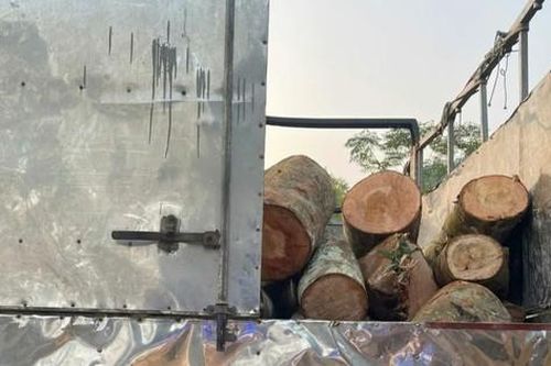 Bắc Kạn: Phát hiện xe ô tô vận chuyển 65 khúc gỗ trái phép