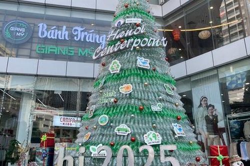 Cận cảnh cây thông Noel khổng lồ làm từ chai nhựa